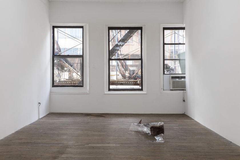 Installation view, photo by Gregory Carideo