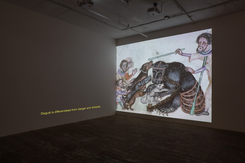 Neighboring Animals, 2024