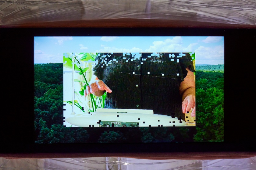 Sondra Perry, Lineage for a Phantom Zone (detail), with the additional support of Muse, the Rolls-Royce Art Programme, as the inaugural Dream Commission