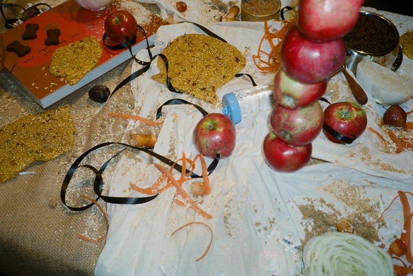 Book Celebration: The Animal Within, edited by Manuela Ammer and Ulrike Müller, with support from ACFNY