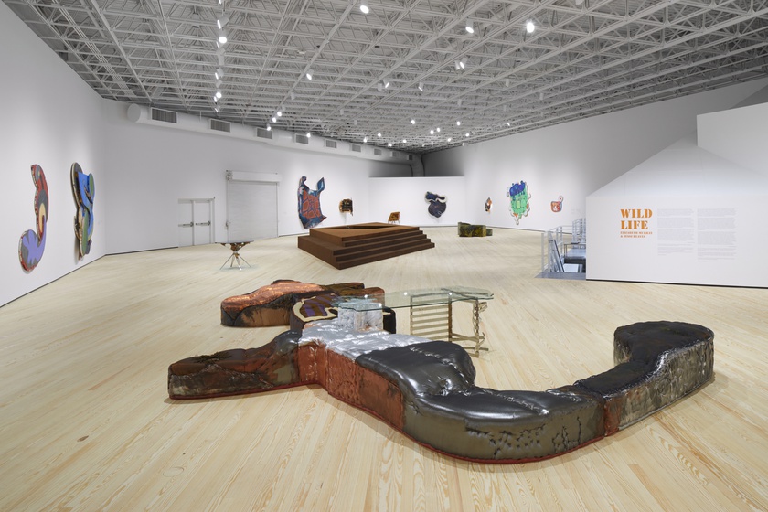 Installation view, Wild Life: Elizabeth Murray and Jessi Reaves, Contemporary Arts Museum Houston, Texas, January 21 -May 16, 2021 