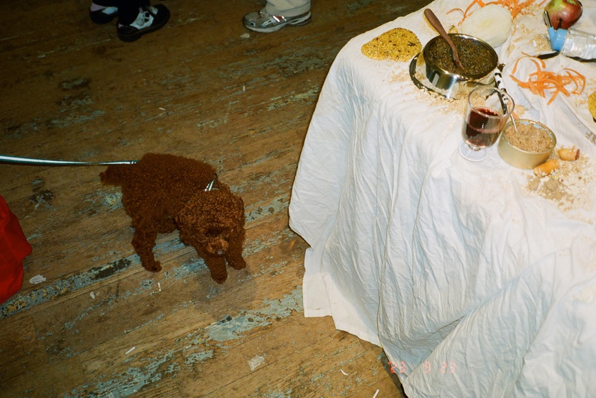 Book Celebration: The Animal Within, edited by Manuela Ammer and Ulrike Müller, with support from ACFNY