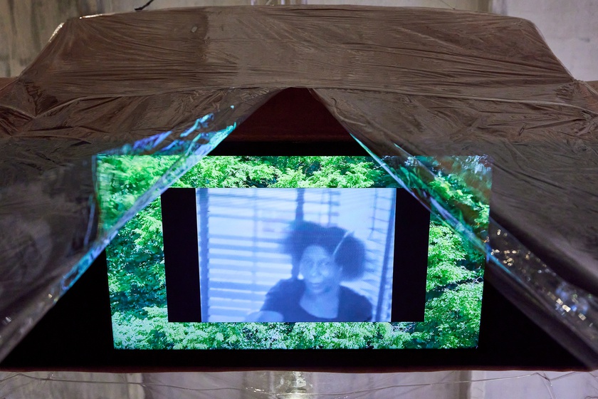 Sondra Perry, Lineage for a Phantom Zone (detail), with the additional support of Muse, the Rolls-Royce Art Programme, as the inaugural Dream Commission