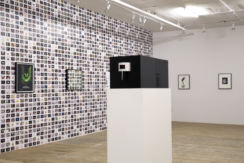 Installation view 