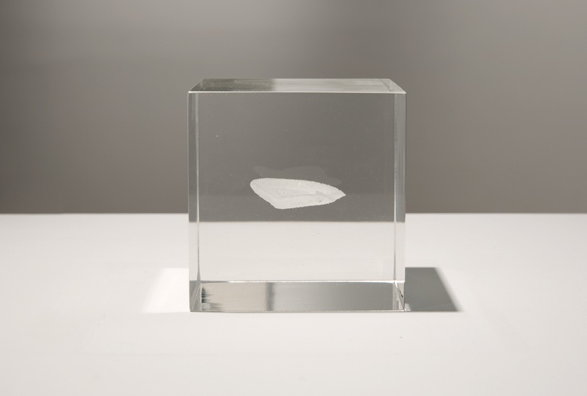 Installation view of ‘Lynn Hershman Leeson: Origins of the Species’ - February 19th to April 5th, 2015