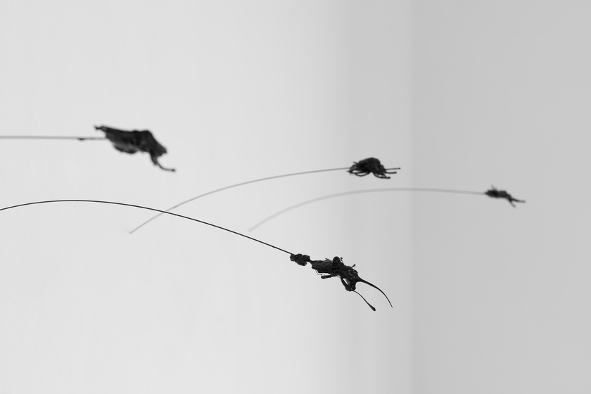 Installation view, John Russell: CAVAPOOL, Kölnischer Kunstverein, Cologne, Germany, August 20 - October 16, 2022