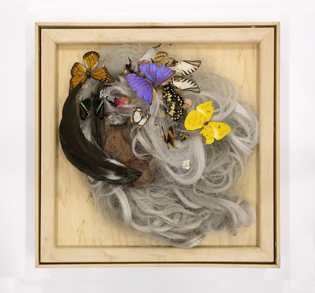 Installation view of ‘Lynn Hershman Leeson: Origins of the Species’ - February 19th to April 5th, 2015