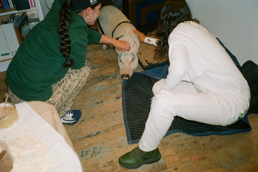 Book Celebration: The Animal Within, edited by Manuela Ammer and Ulrike Müller, with support from ACFNY