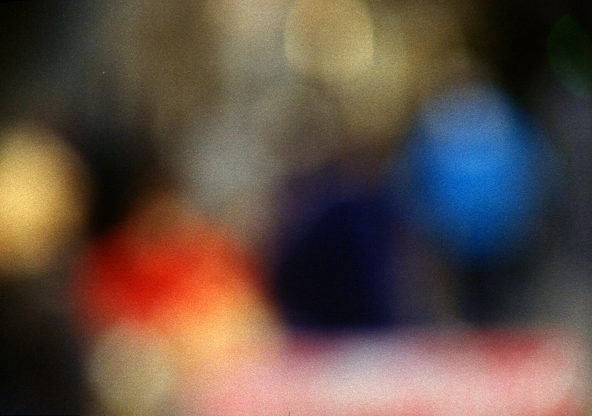 The Plant, 2012 (still)