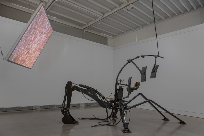 Eclogue for [in]HABITABILITY, 2017-2019