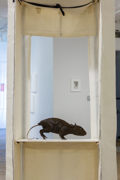 Anne Chu, Rattus (Brown), 2015 - Detail