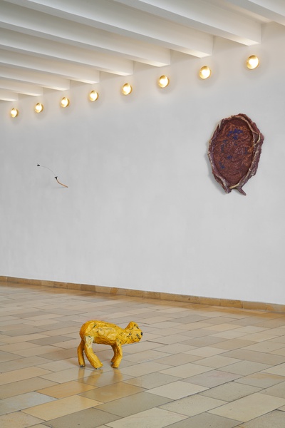 Cavapoo Dog 2, 2022 (detail)