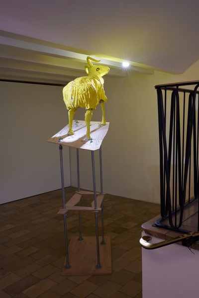 Scapegoat (transfer), 2022