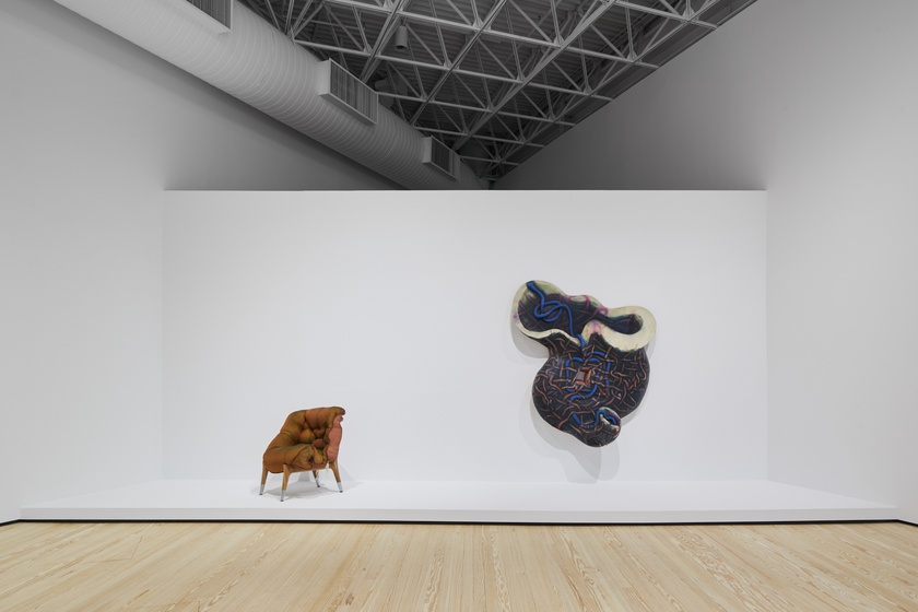 Installation view, Wild Life: Elizabeth Murray and Jessi Reaves, Contemporary Arts Museum Houston, Texas, January 21 -May 16, 2021 