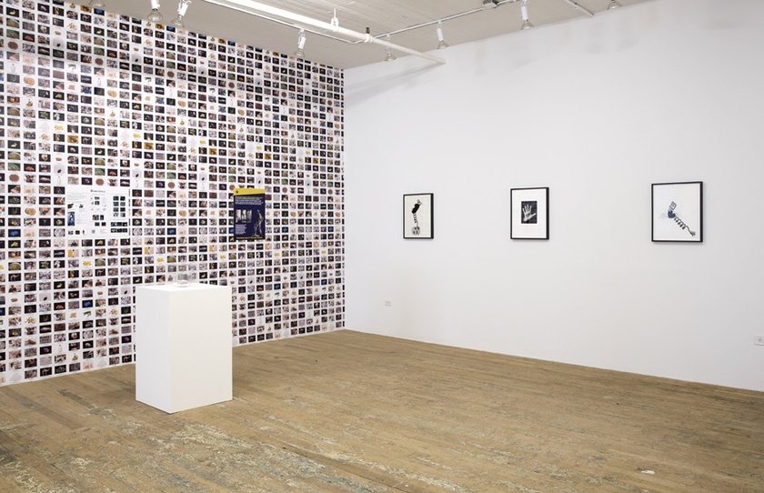 Installation view of ‘Lynn Hershman Leeson: Origins of the Species’ - February 19th to April 5th, 2015