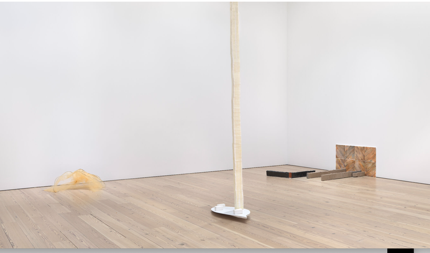 Installation view, Whitney Biennial 2019, Whitney Museum of American Art, New York, 2019