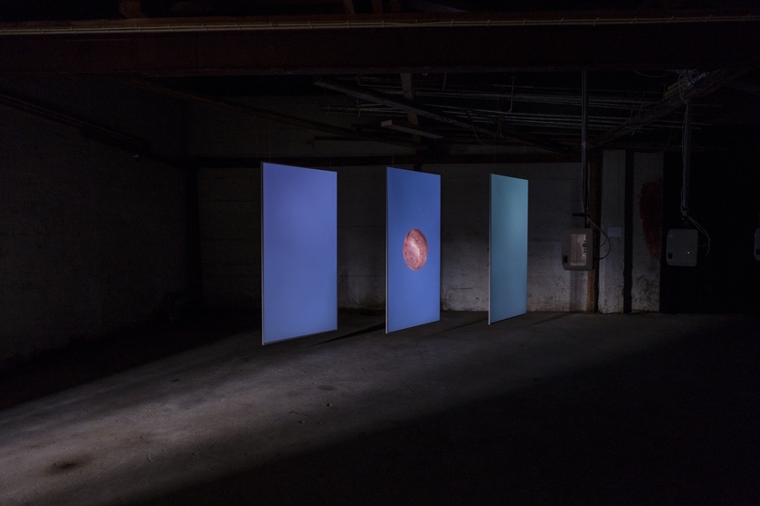 I Taste the Future, LIAF Biennial (Lofoten International Art Festival), Henningsvaer, Norway, September 1 - October 1