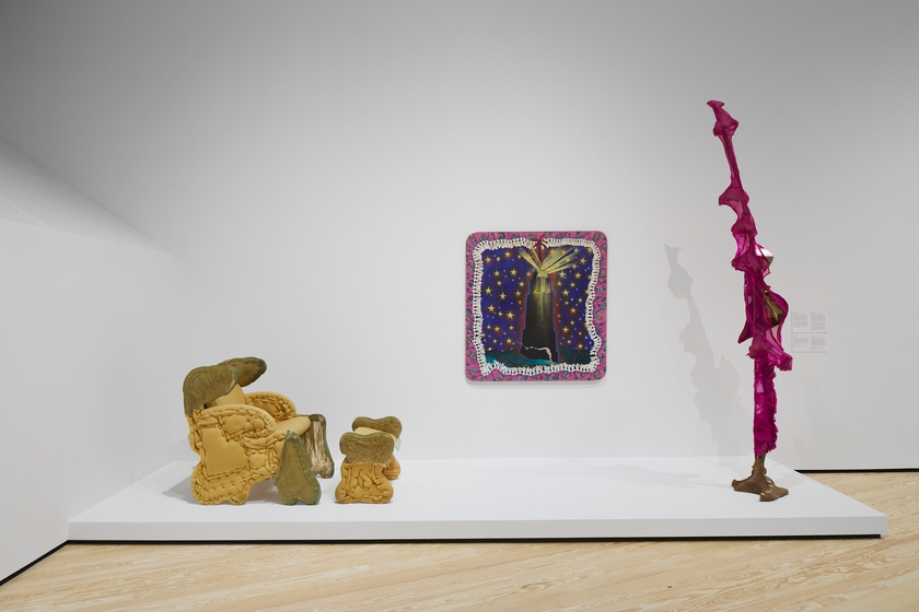 Installation view, Wild Life: Elizabeth Murray and Jessi Reaves, Contemporary Arts Museum Houston, Texas, January 21 -May 16, 2021 