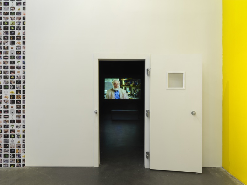 Lynn Hershman Leeson: Twisted, 2021. Exhibition view: New Museum, New York