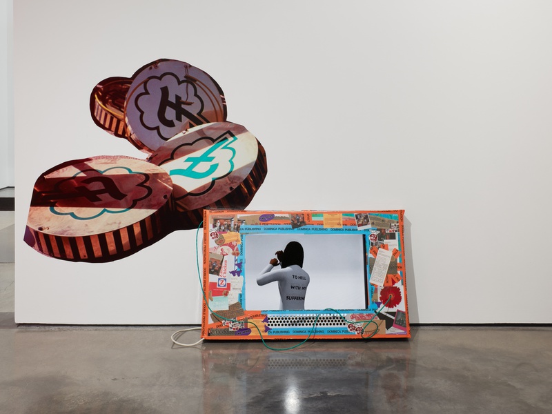 Installation view, Martine Syms: Grio College, Hessel Museum of Art at Bard, June 25 - November 27, 2022