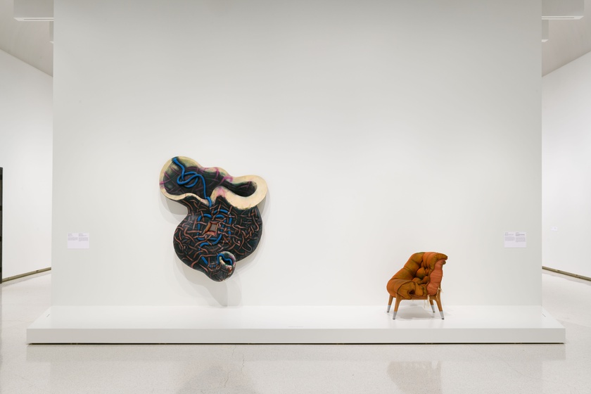 Installation View, Wild Life: Elizabeth Murray & Jessi Reaves, Carnegie Museum, Pittsburgh, September 3, 2021 - January 9, 2022	