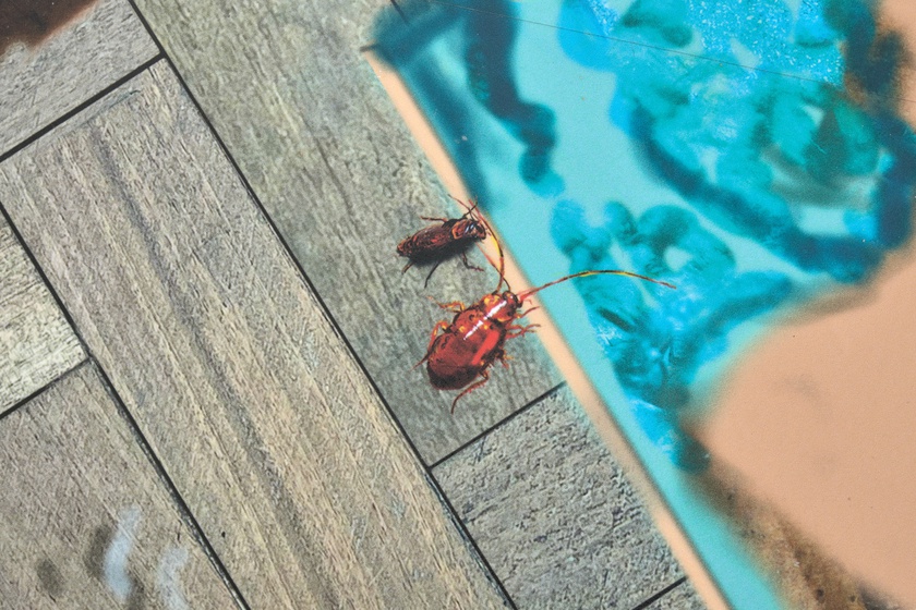 The Floor, 2024 (detail)