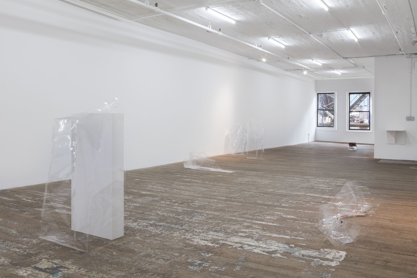 Installation view, photo by Gregory Carideo