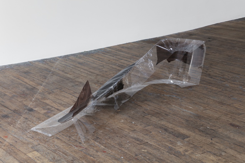 Installation view, photo by Gregory Carideo