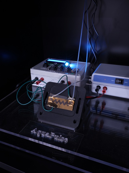 Lynn Hershman Leeson