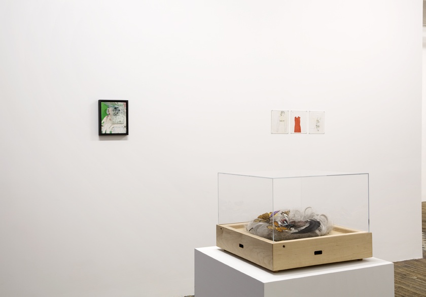 Installation view