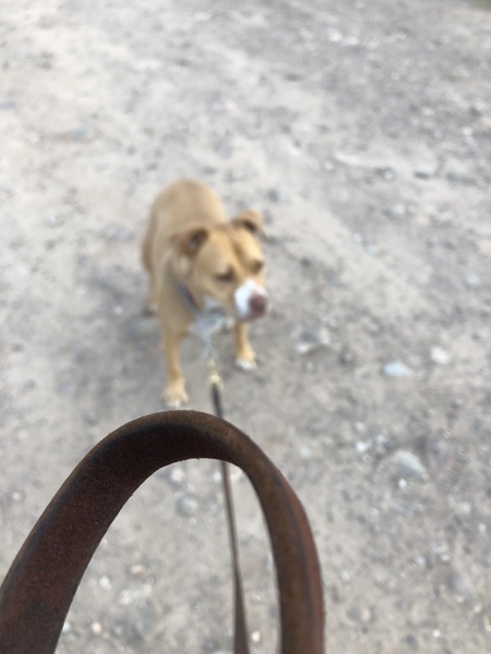 Consternation about Mimm's, 2018