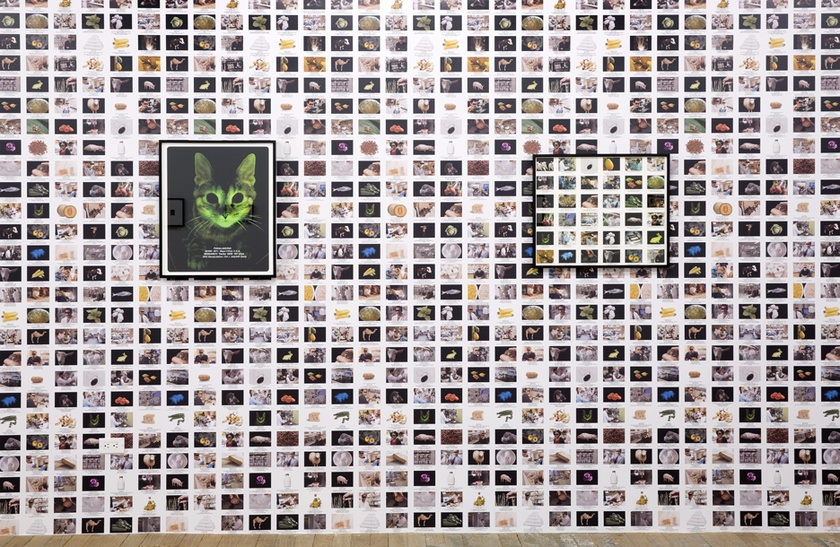 Installation view of ‘Lynn Hershman Leeson: Origins of the Species’ - February 19th to April 5th, 2015