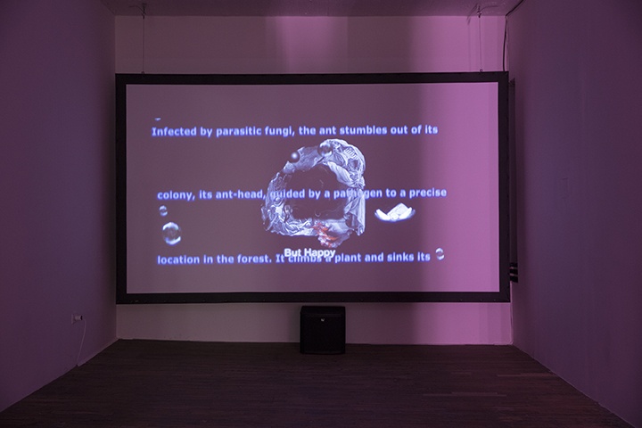 Relaxation Video: SQRRL/BRUCE WILLIS, 2015 (still)