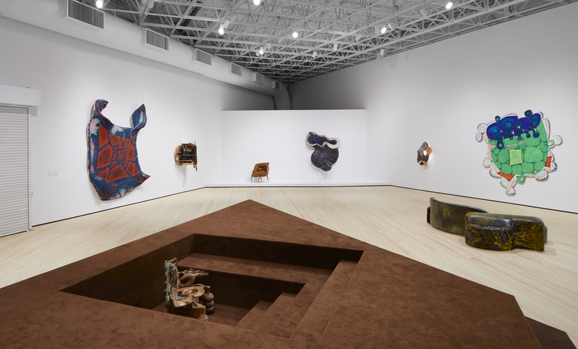 Installation view, Wild Life: Elizabeth Murray and Jessi Reaves, Contemporary Arts Museum Houston, Texas, January 21 -May 16, 2021 