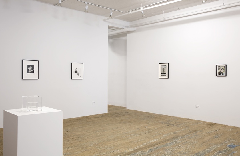 Installation view of ‘Lynn Hershman Leeson: Origins of the Species’ - February 19th to April 5th, 2015