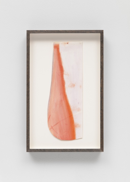 Monique Mouton Sweet orange, n.d.