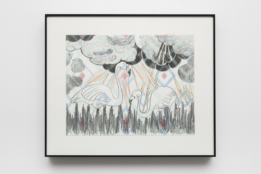 Pink Flamingos, 2016