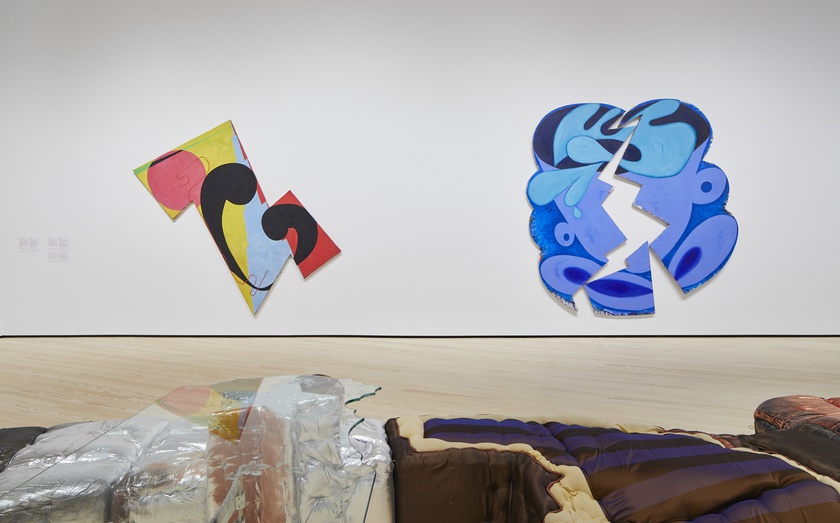 Installation view, Wild Life: Elizabeth Murray and Jessi Reaves, Contemporary Arts Museum Houston, Texas, January 21 -May 16, 2021 