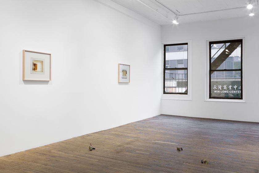 Installation view, 2024