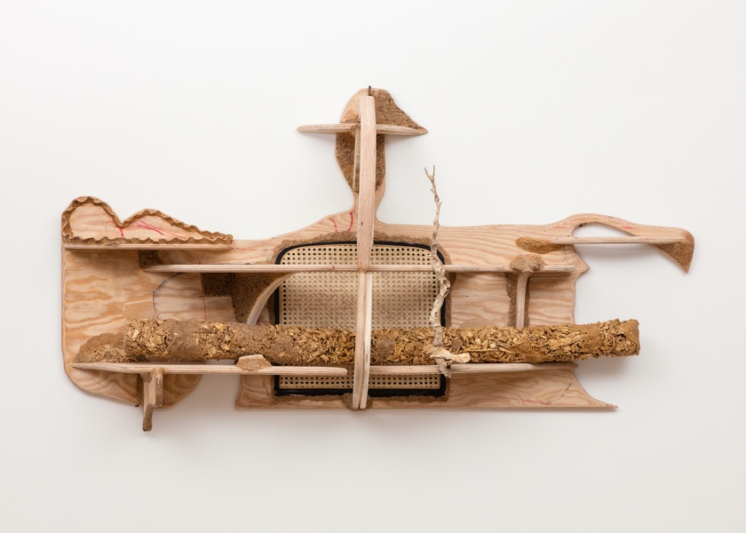 Shelf for a Log, 2016