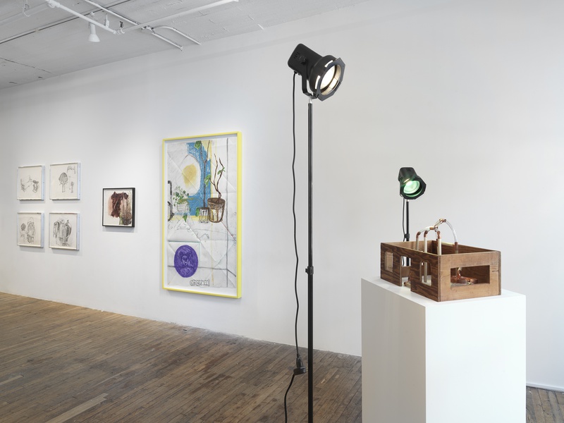 Installation view