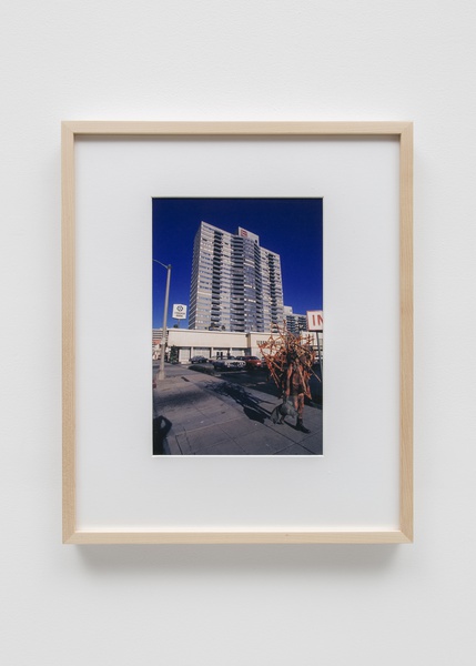 Wilshire Boulevard Walk (Photograph by Jeff Gubbins), January 28, 1976 