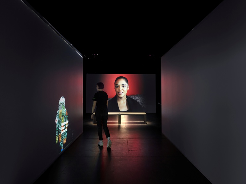 Lynn Hershman Leeson, Shadow Stalker, 2019