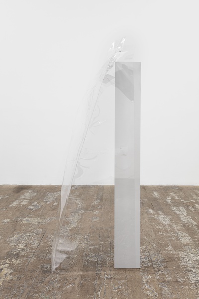 Installation view, photo by Gregory Carideo