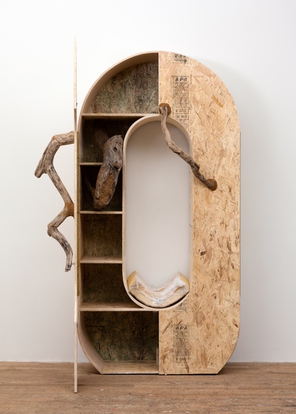 Cabinet for Rotten Log, 2016