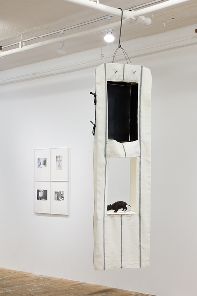 Hervé Guibert, Anne Chu