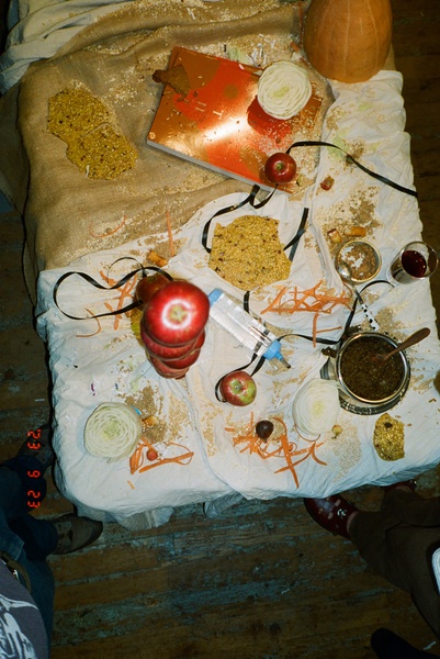 Book Celebration: The Animal Within, edited by Manuela Ammer and Ulrike Müller, with support from ACFNY