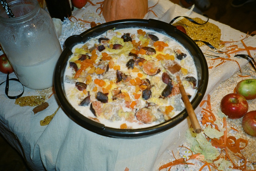 Book Celebration: The Animal Within, edited by Manuela Ammer and Ulrike Müller, with support from ACFNY