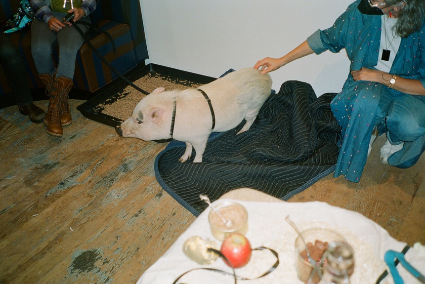 Book Celebration: The Animal Within, edited by Manuela Ammer and Ulrike Müller, with support from ACFNY