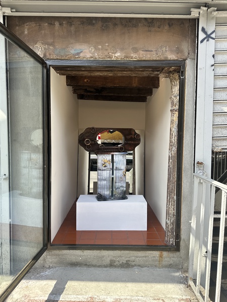 Species' vanity, 2024